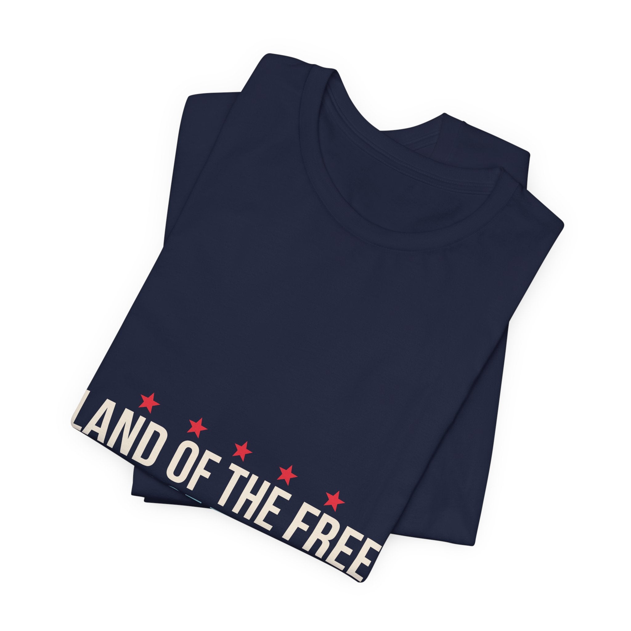 Land of the Free Home of the Dink Shirt, 4th of July Pickleball Shirt, Patriotic Pickleball Tee, USA Pickleball Gift, Fourth of July