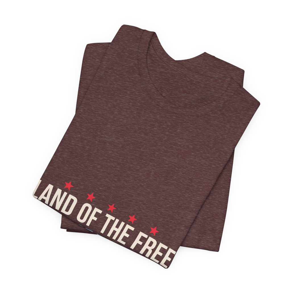 Land of the Free Home of the Dink Shirt, 4th of July Pickleball Shirt, Patriotic Pickleball Tee, USA Pickleball Gift, Fourth of July