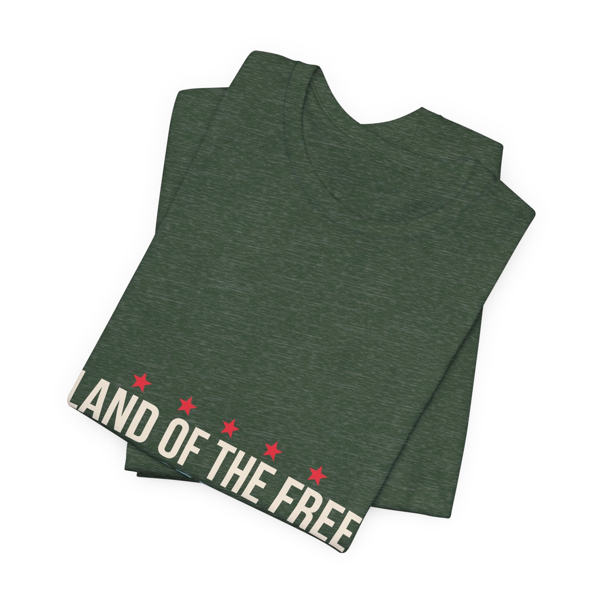 Land of the Free Home of the Dink Shirt, 4th of July Pickleball Shirt, Patriotic Pickleball Tee, USA Pickleball Gift, Fourth of July