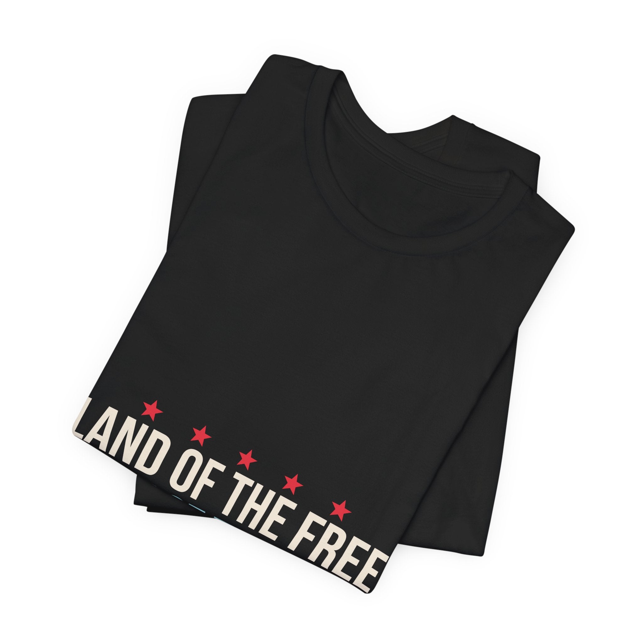 Land of the Free Home of the Dink Shirt, 4th of July Pickleball Shirt, Patriotic Pickleball Tee, USA Pickleball Gift, Fourth of July
